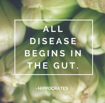 Digestive health! 5 ways to Heal Your Gut