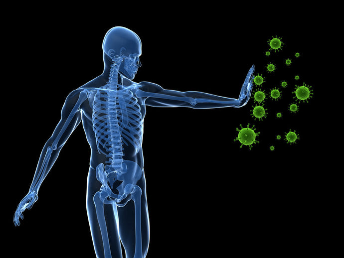 5 Reasons You Have Low Immunity