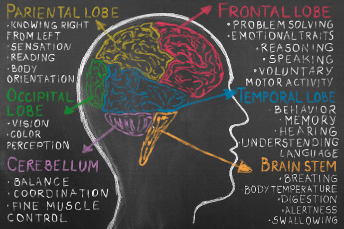 5 Musts for Optimal Brain Function
